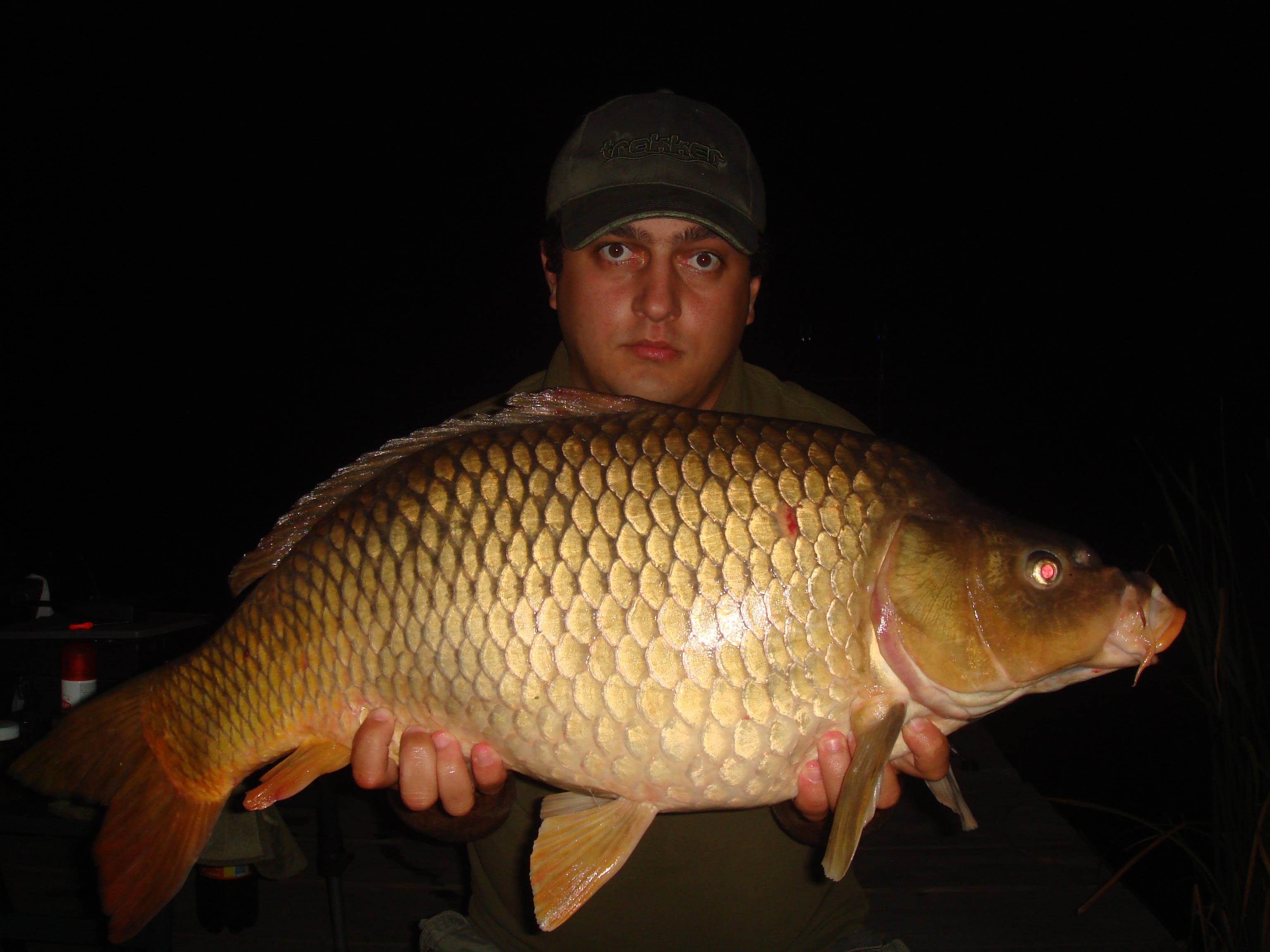 Magura 9 - DSC08708.JPG